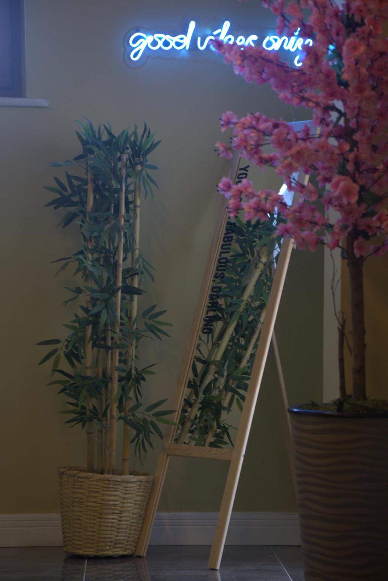 Bed & Breakfast Zelle Airport Boutique *
